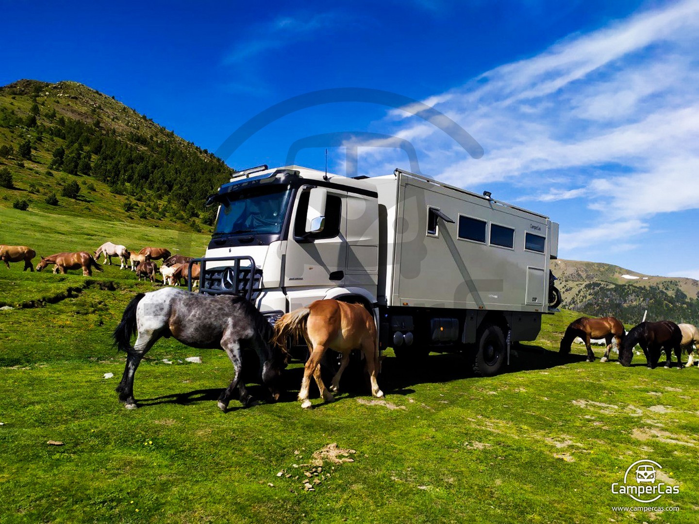 CAMION 4x4 - MERCEDES
