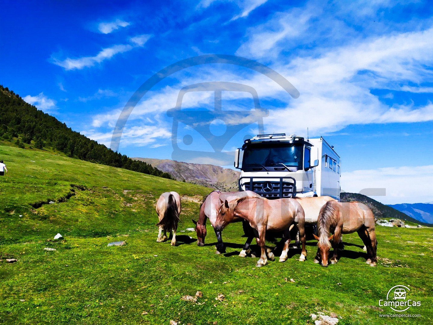 CAMION 4x4 - MERCEDES