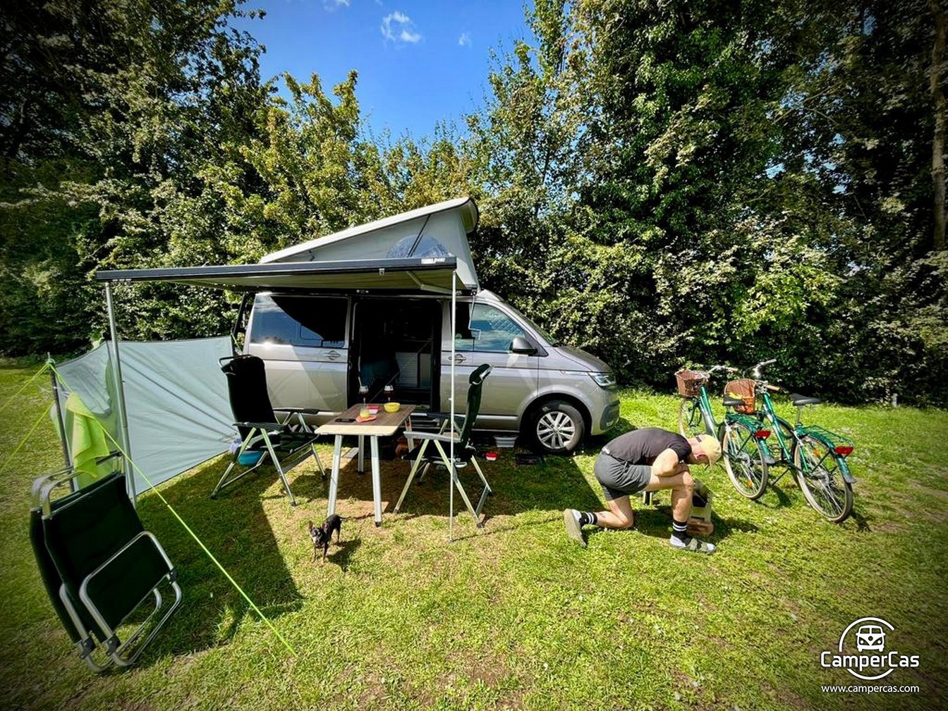 VW CARAVELLE 6.1 - OXITOCIN