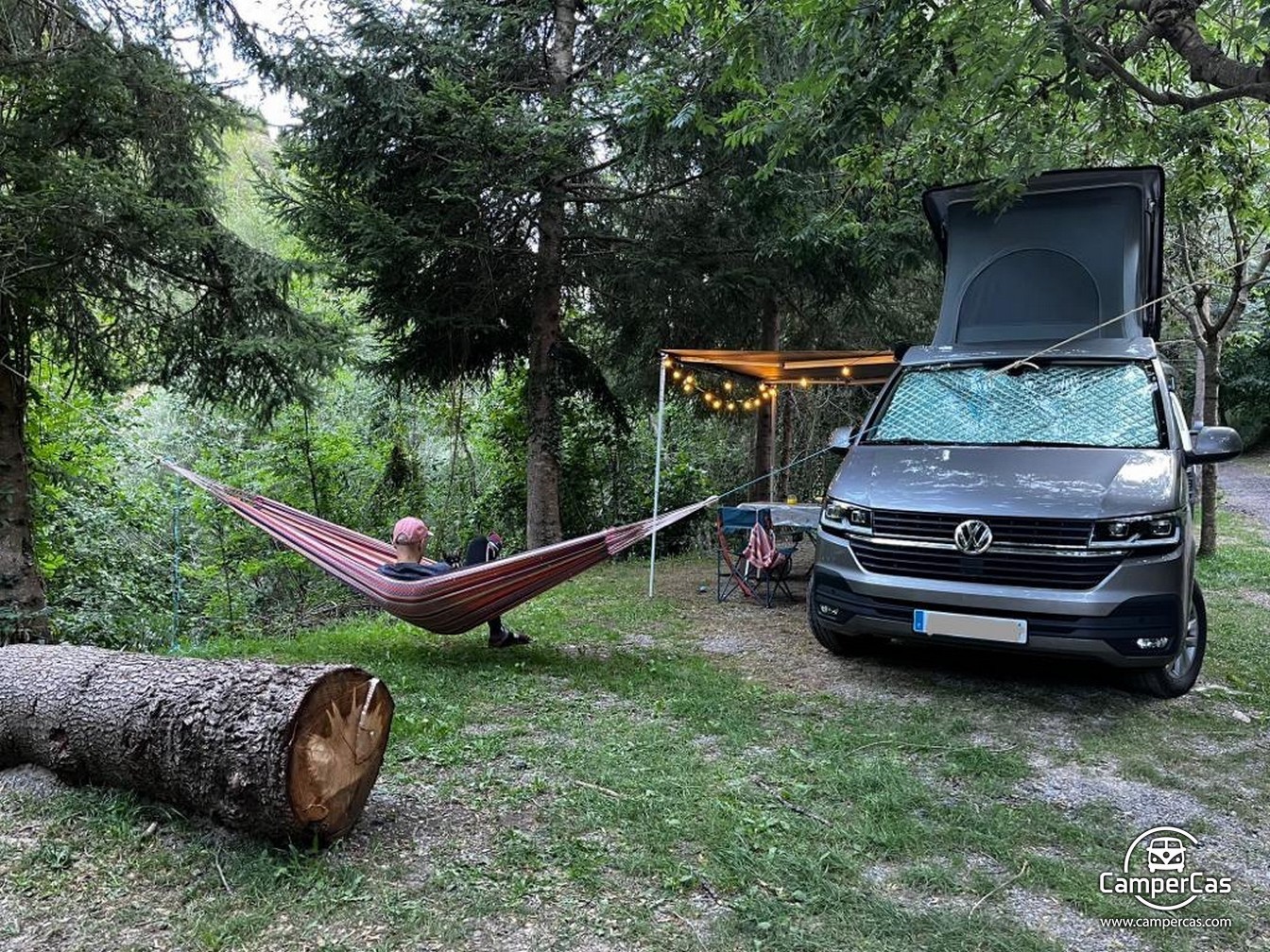 VW CARAVELLE 6.1 - OXITOCIN