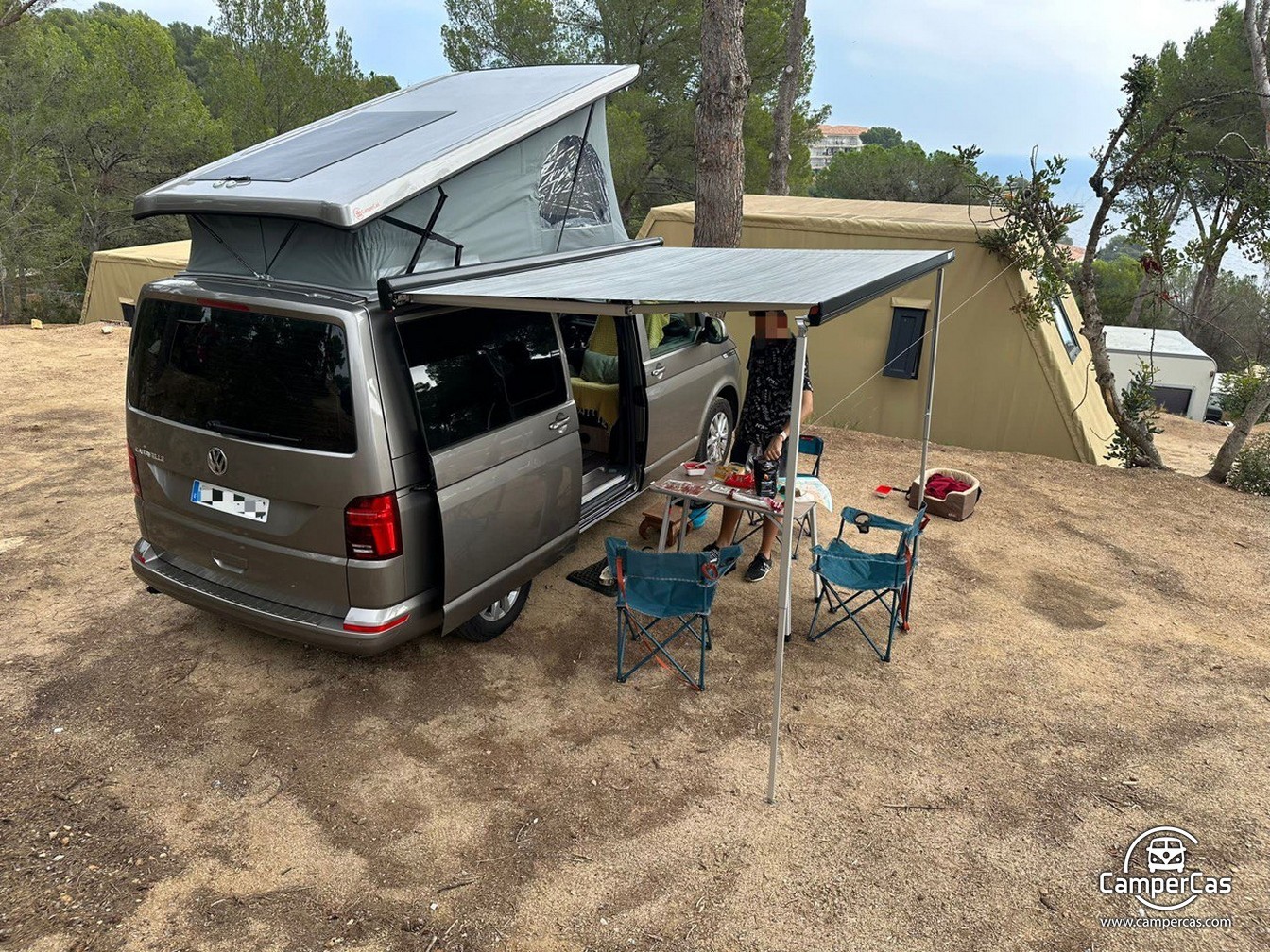 VW CARAVELLE 6.1 - OXITOCIN