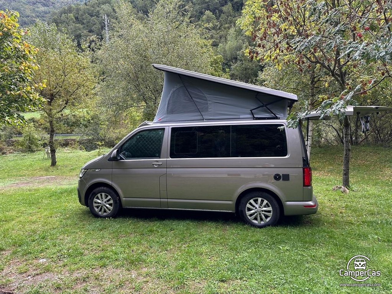 VW CARAVELLE 6.1 - OXITOCIN
