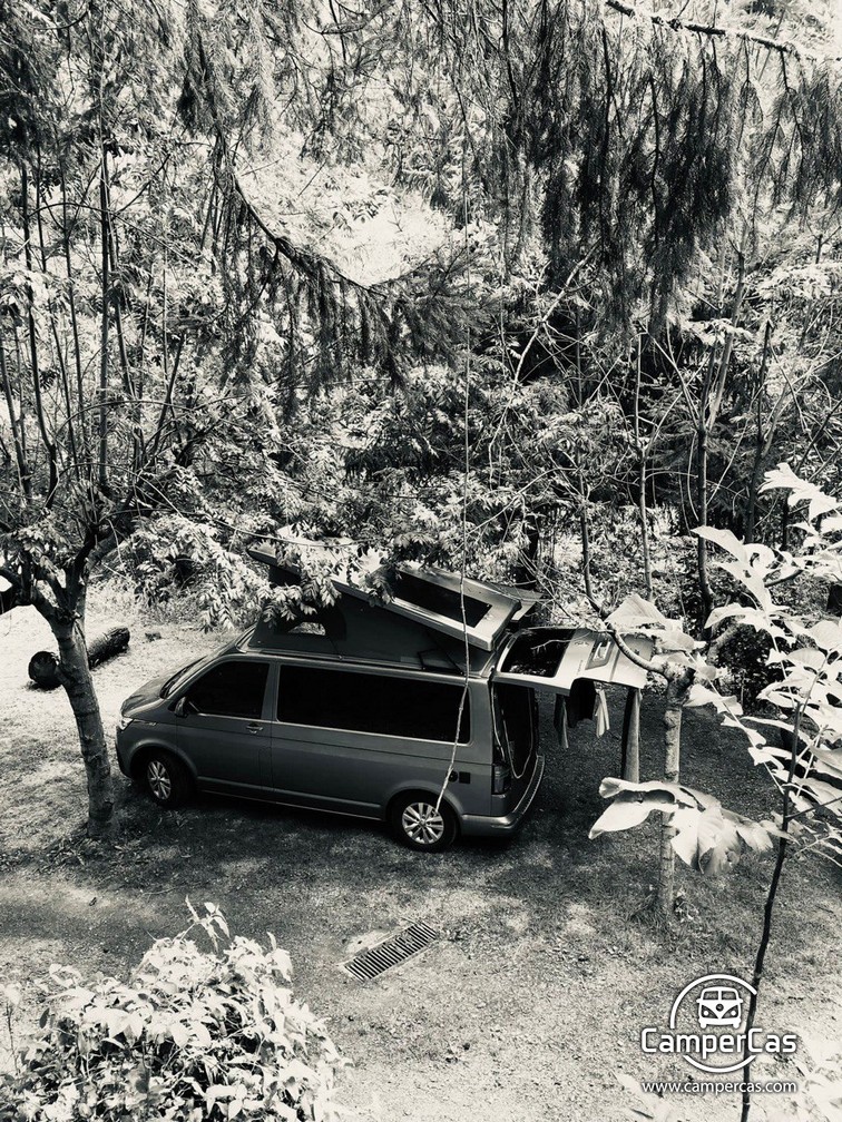 VW CARAVELLE 6.1 - OXITOCIN